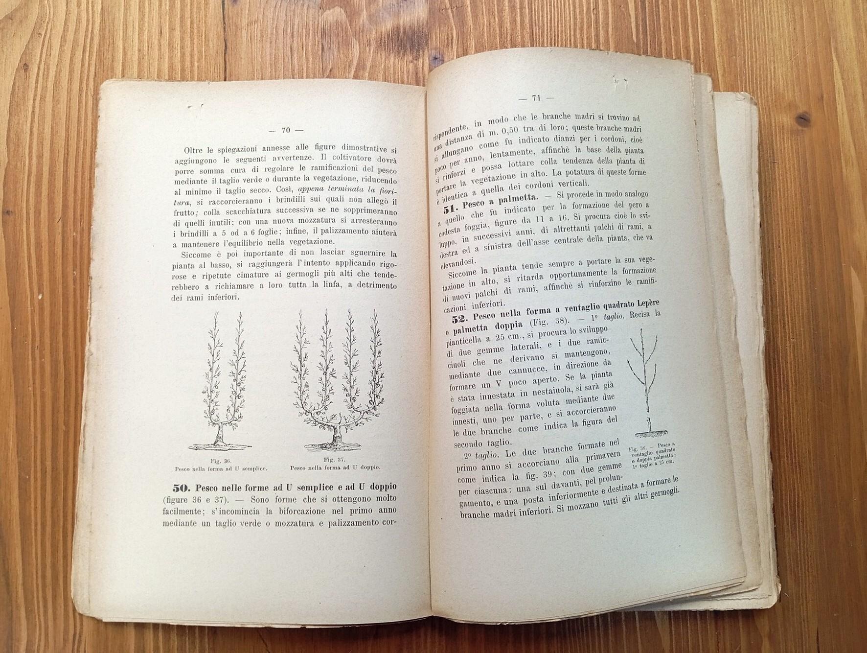 Corso d'agraria. Volume terzo, parte seconda: Frutticultura - Gelsicultura - Silvicultura