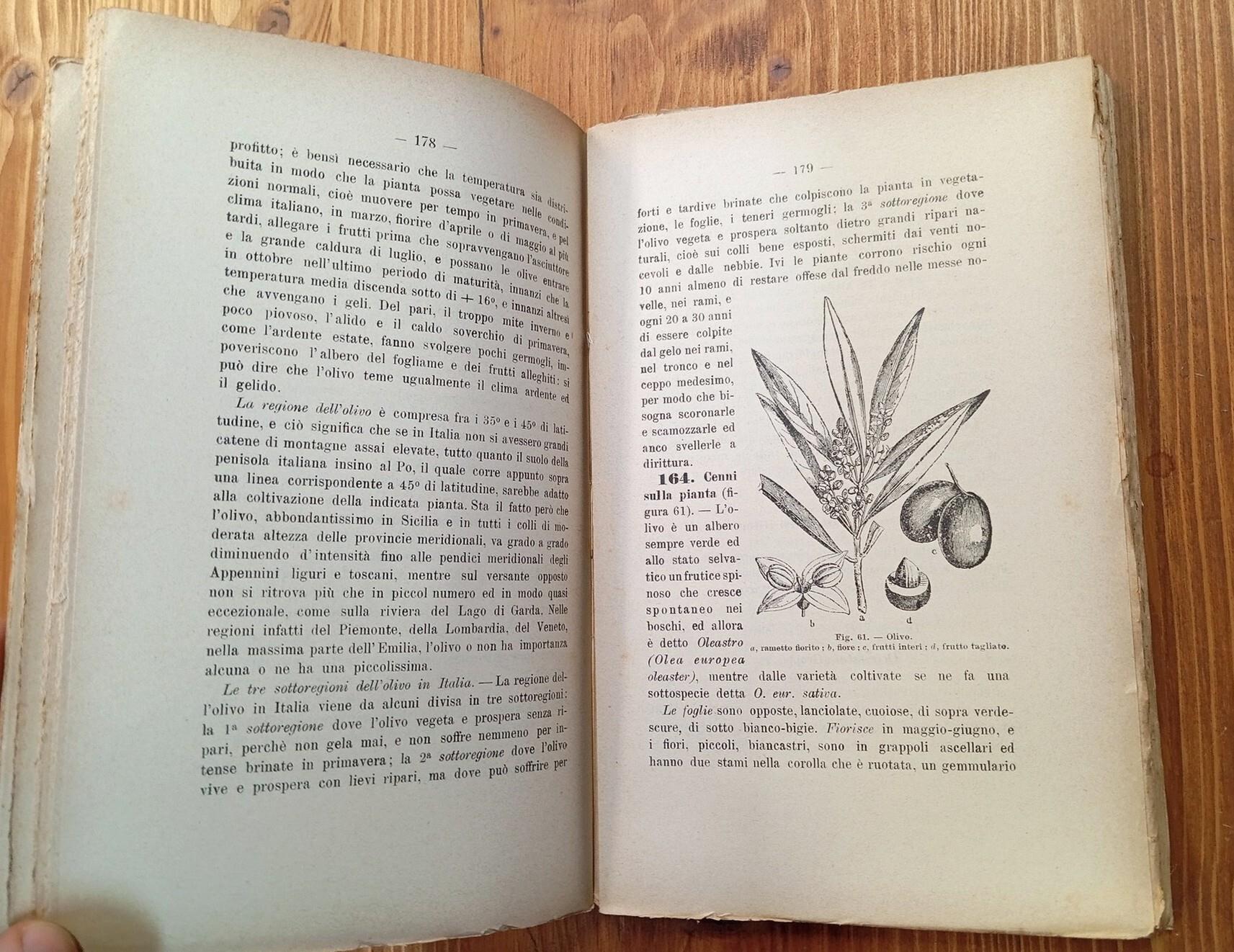 Corso d'agraria. Volume terzo, parte seconda: Frutticultura - Gelsicultura - Silvicultura