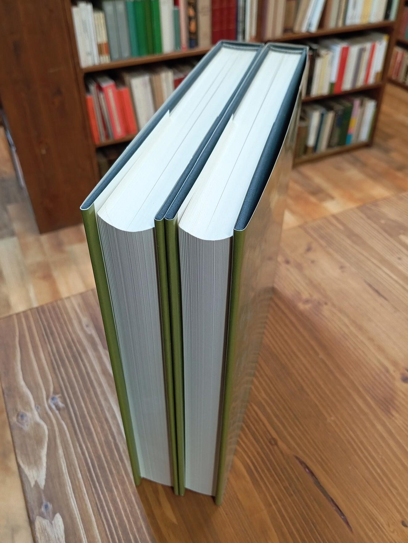 Musei e gallerie di Milano: Galleria d'arte moderna. Collezione Boschi