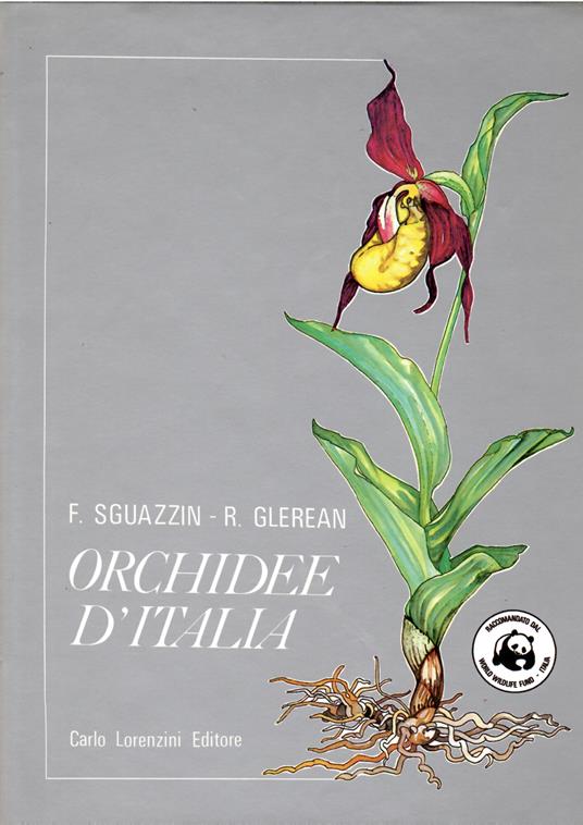 Orchidee d'Italia - Francesco Sguazzin - copertina