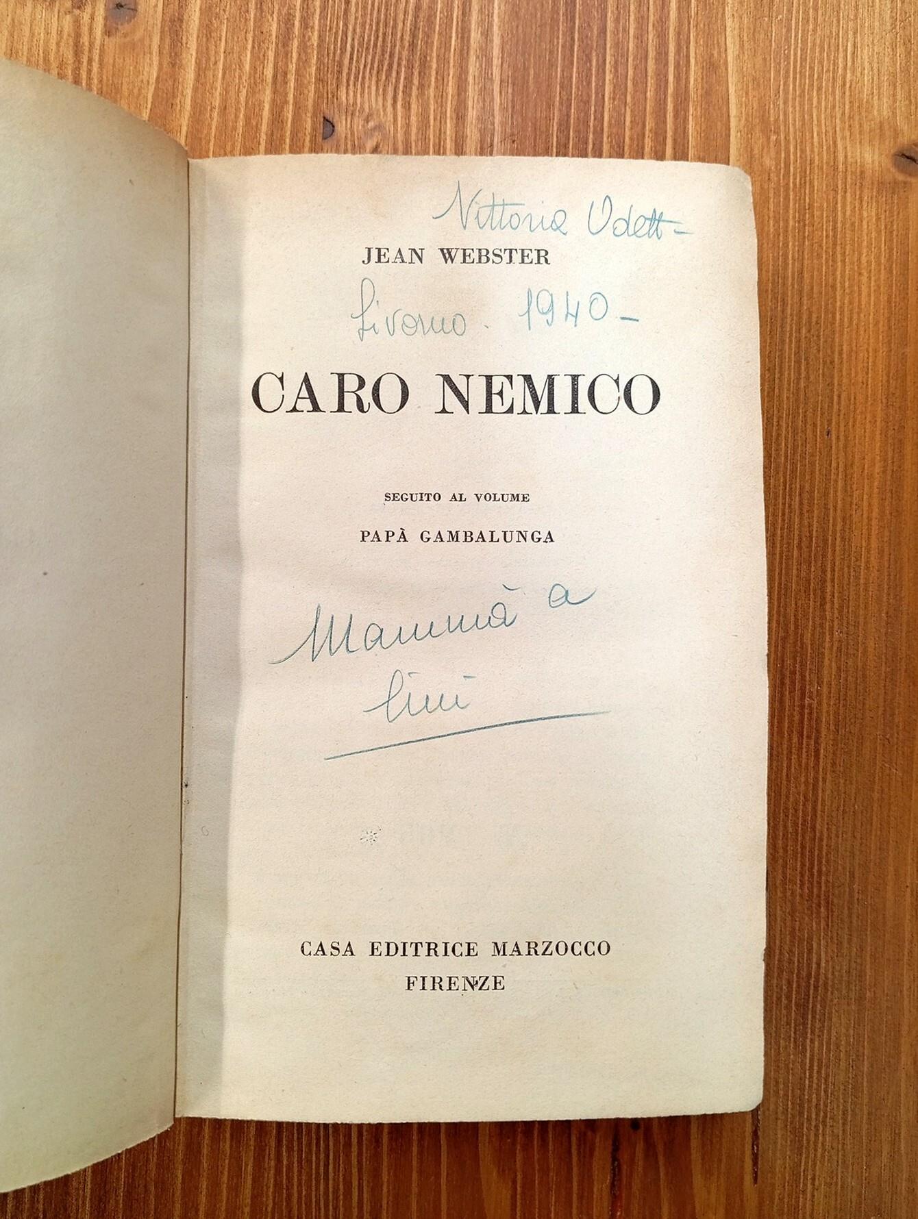 Caro nemico (sèguito al volume 'Papà Gambalungà)