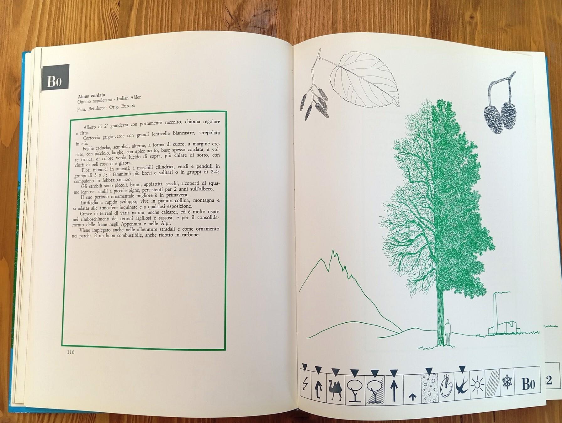 Arborario. Metodo a schede per identificare e scegliere gli alberi con il Detector Selettore