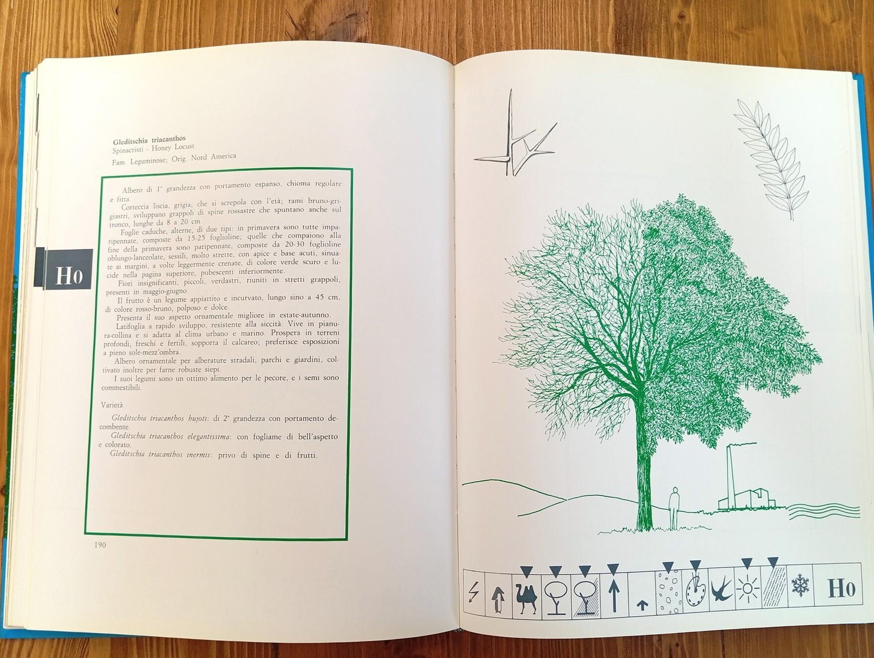 Arborario. Metodo a schede per identificare e scegliere gli alberi con il Detector Selettore