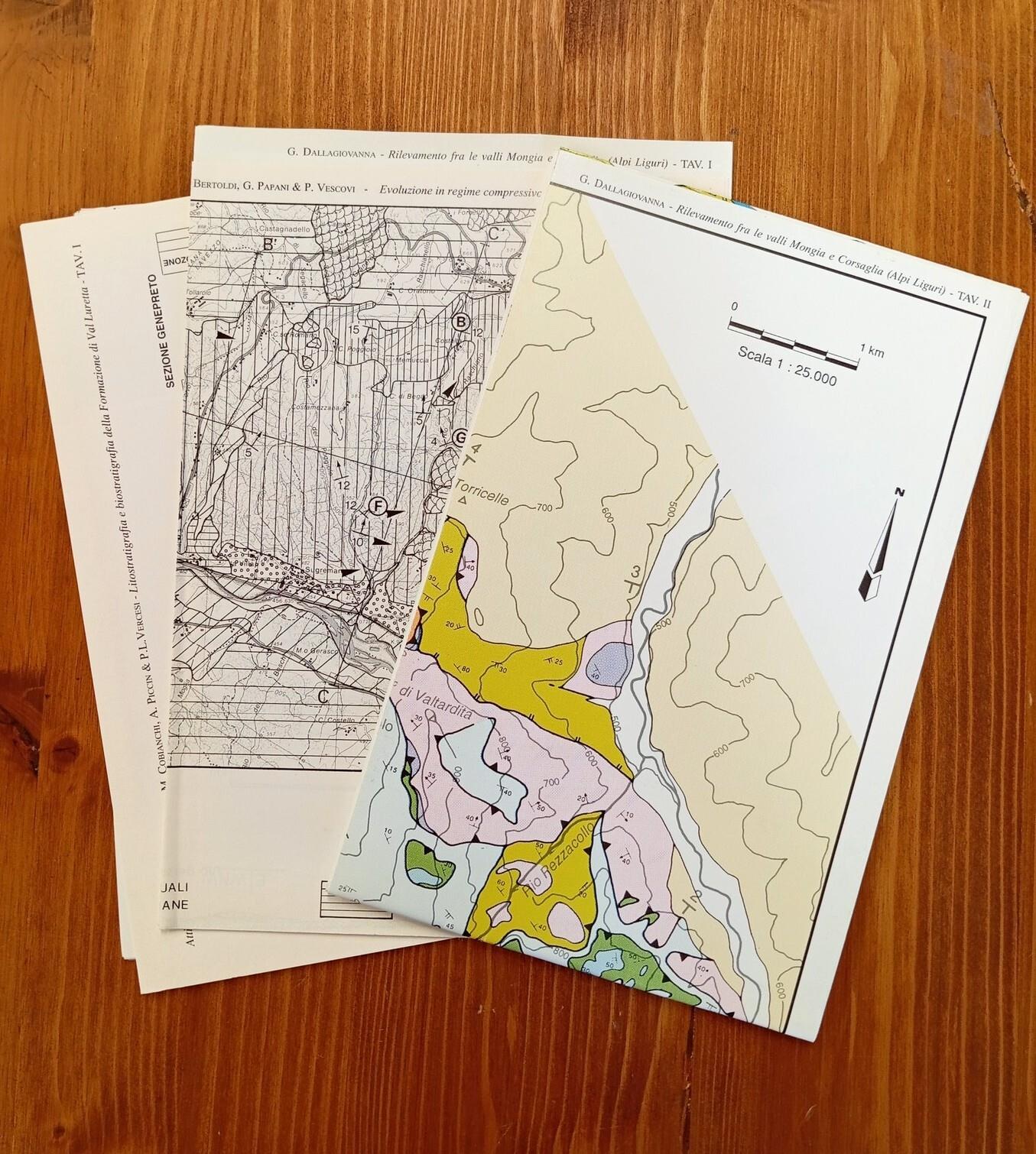 Atti ticinensi di scienze della terra. Vol. XXXVII [37]