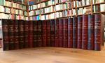 Les Rougon-Macquart. Histoire naturelle et sociale d'une famille sous le Second Empire (20 volumi - opera completa)