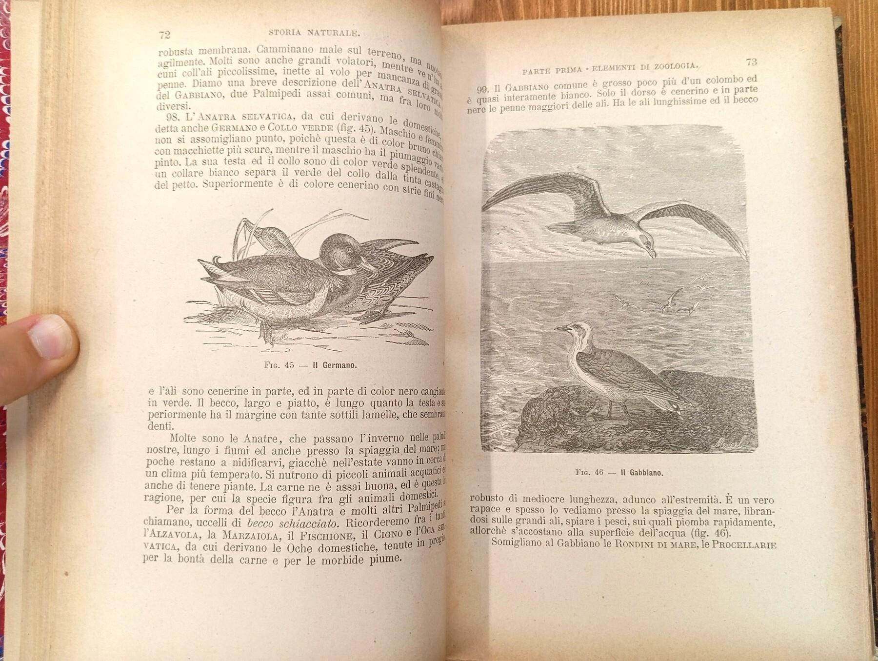 Elementi di scienze naturali, ad uso specialmente delle scuole tecniche e normali. Vol. I: Zoologia e botanica - Vol. II: Chimica, fisica e mineralogia