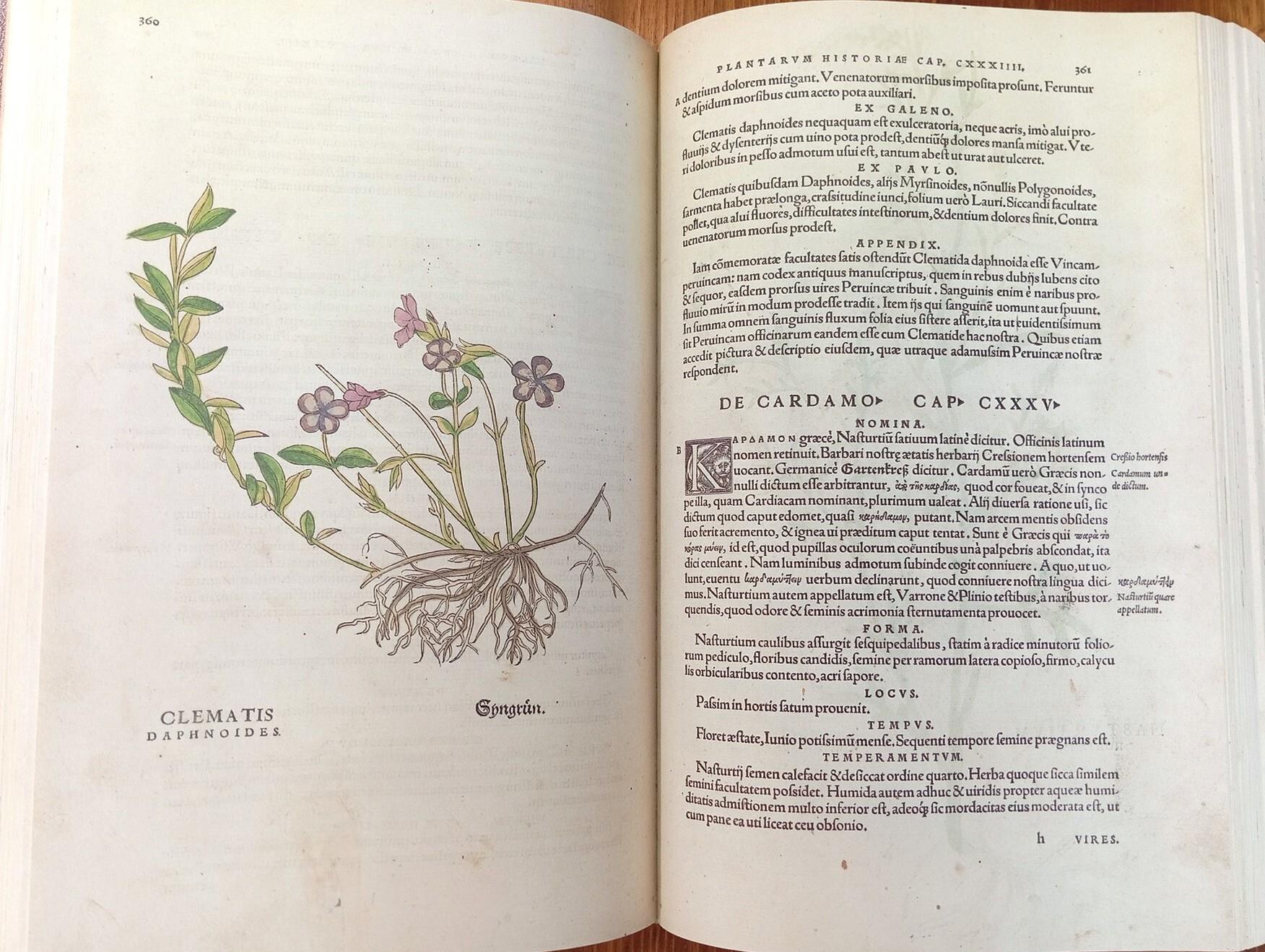 De historia stirpium commentarii insignes, maximis impensis et vigiliis elaborati, adiectis earvndem vivis plvsqvam quingentis imaginibus, nunquam antea ad naturæ imitationem artificiosius effictis & expressis