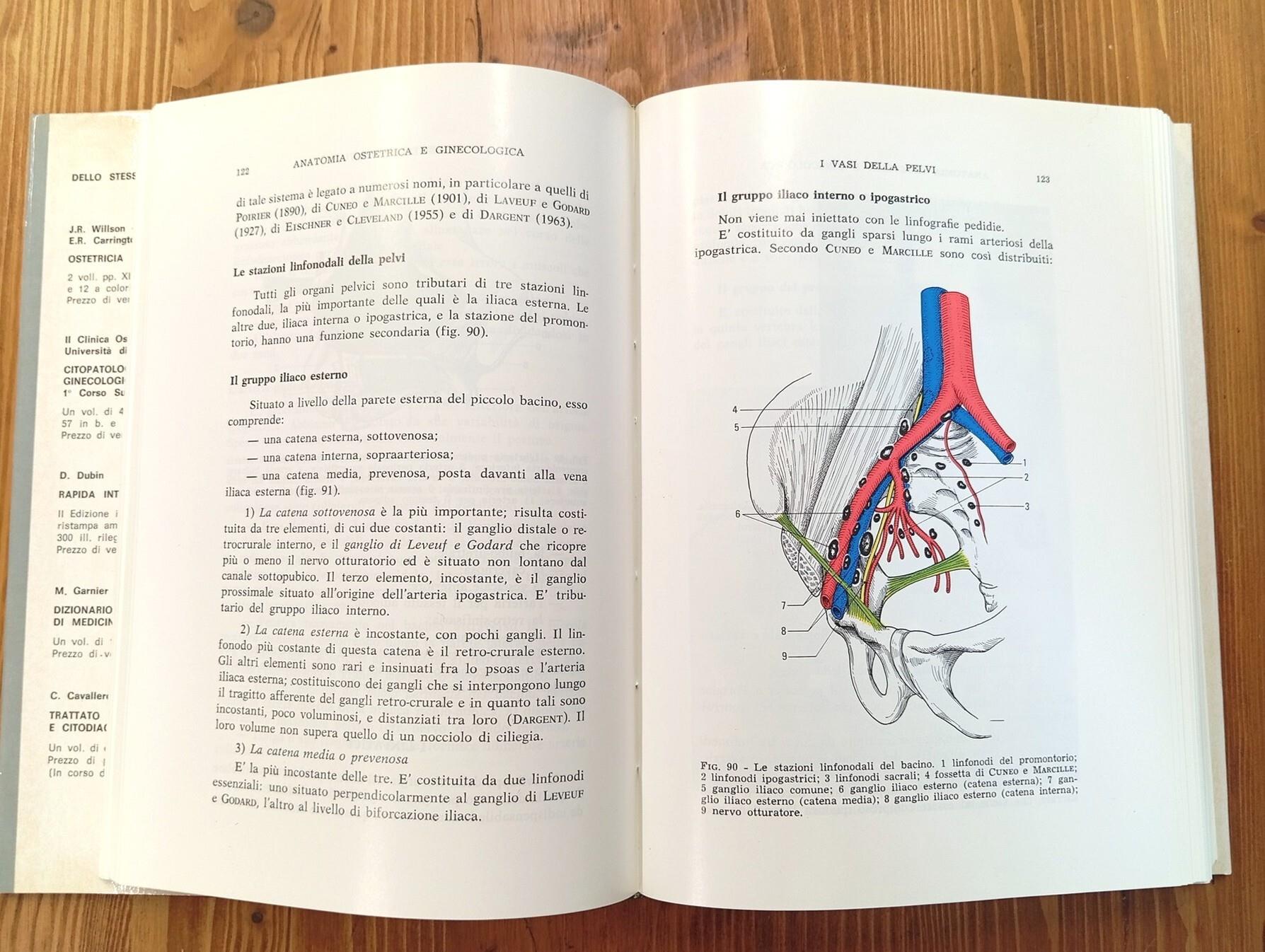 Anatomia ginecologica e ostetrica. Organogenesi, descrizione, esplorazione