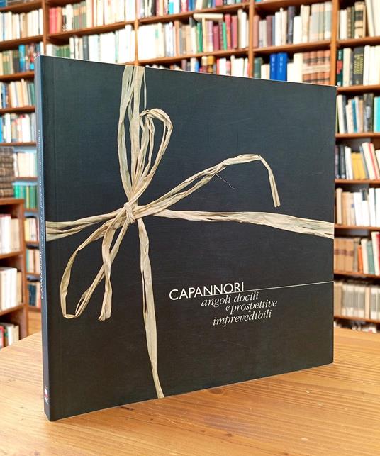Capannori. Angoli docili e prospettive imprevedibili - copertina