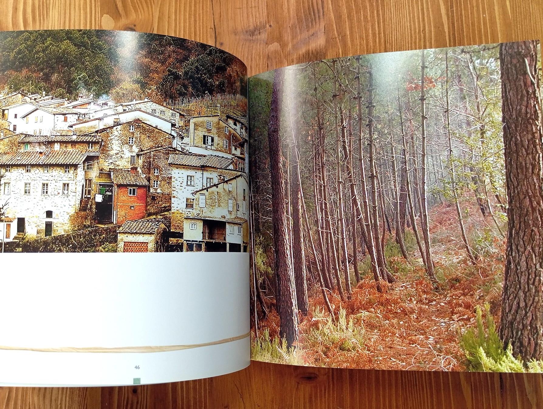 Capannori. Angoli docili e prospettive imprevedibili