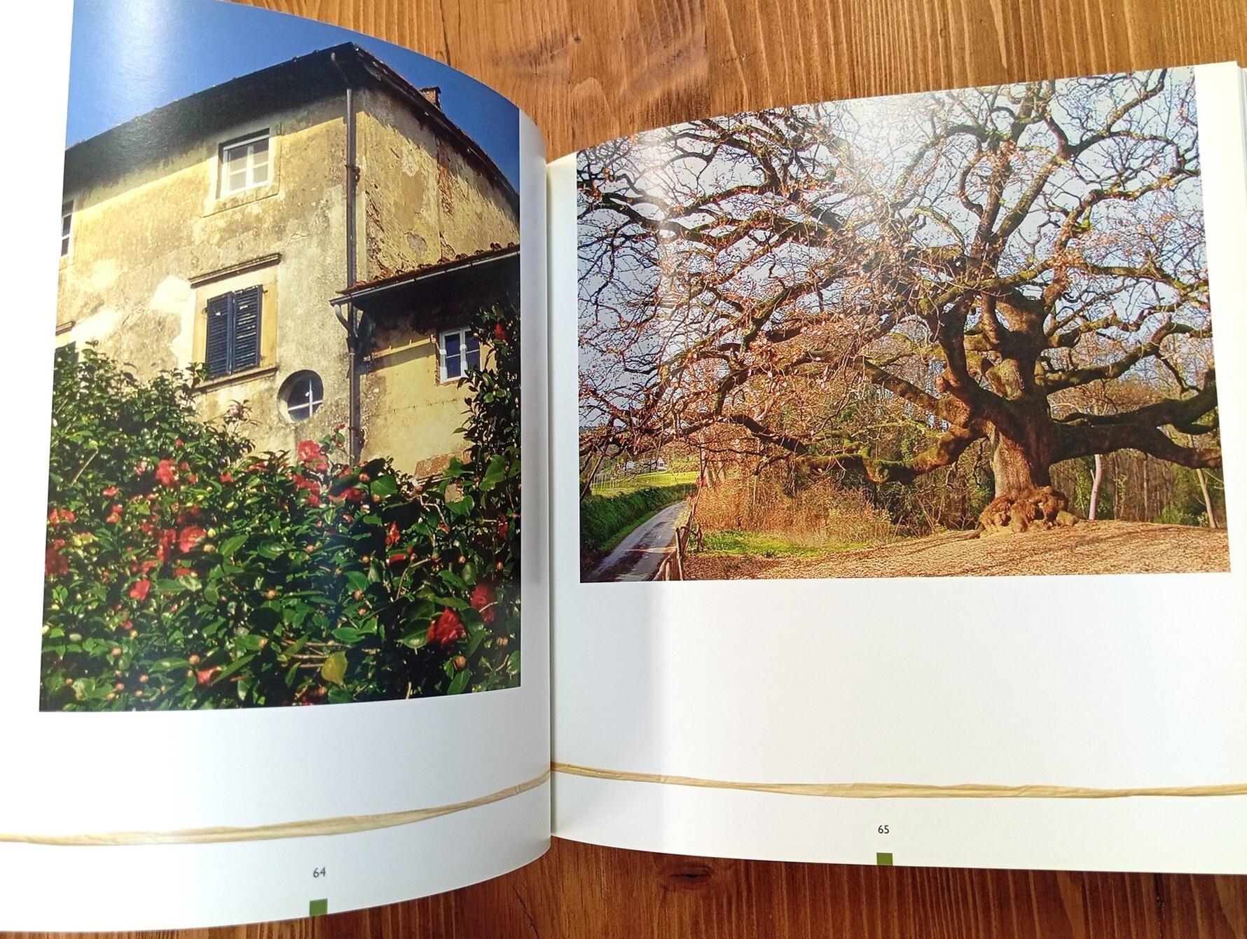 Capannori. Angoli docili e prospettive imprevedibili