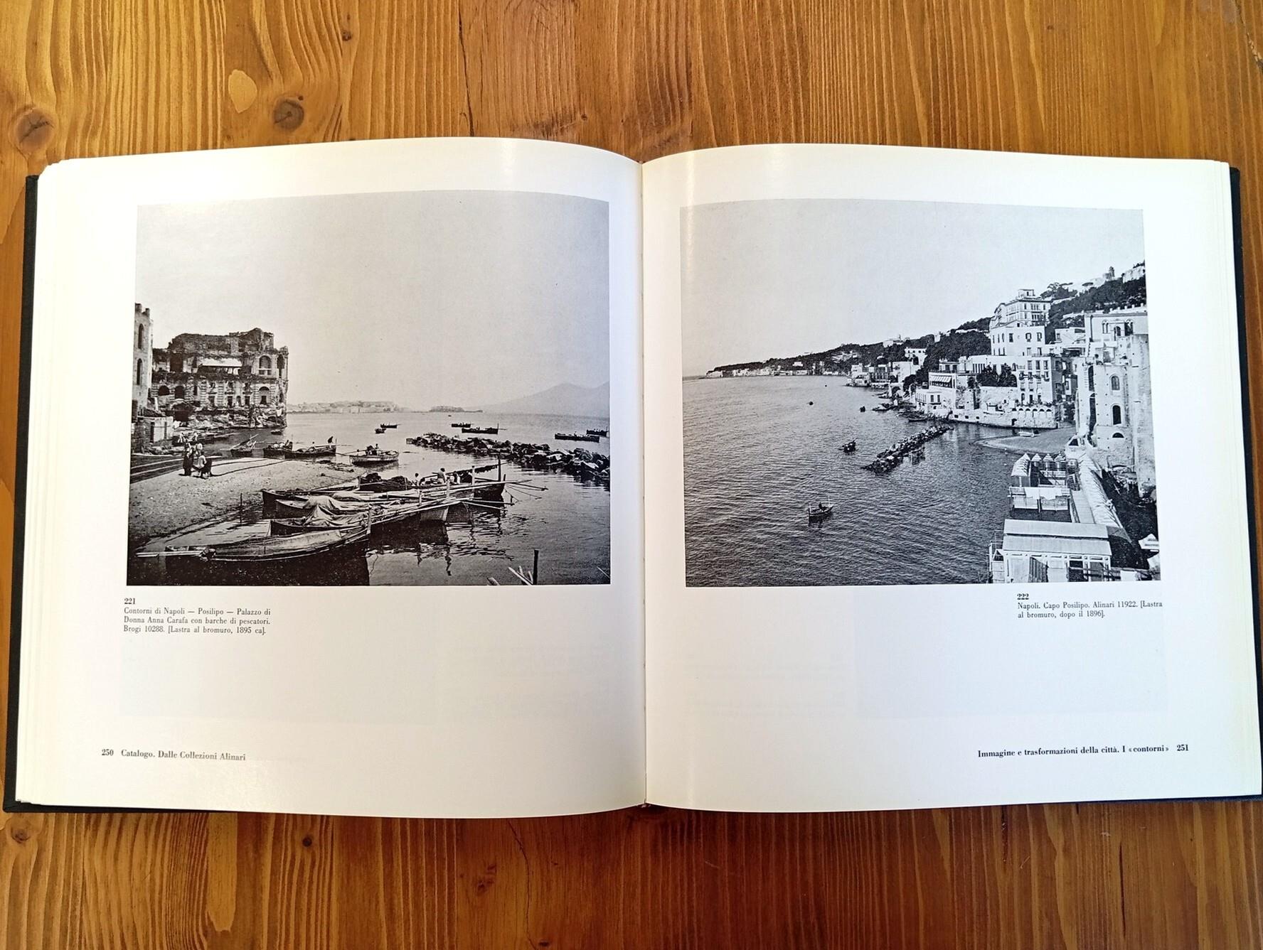 Immagine e città. Napoli nelle collezioni Alinari e nei fotografi napoletani fra Ottocento e Novecento