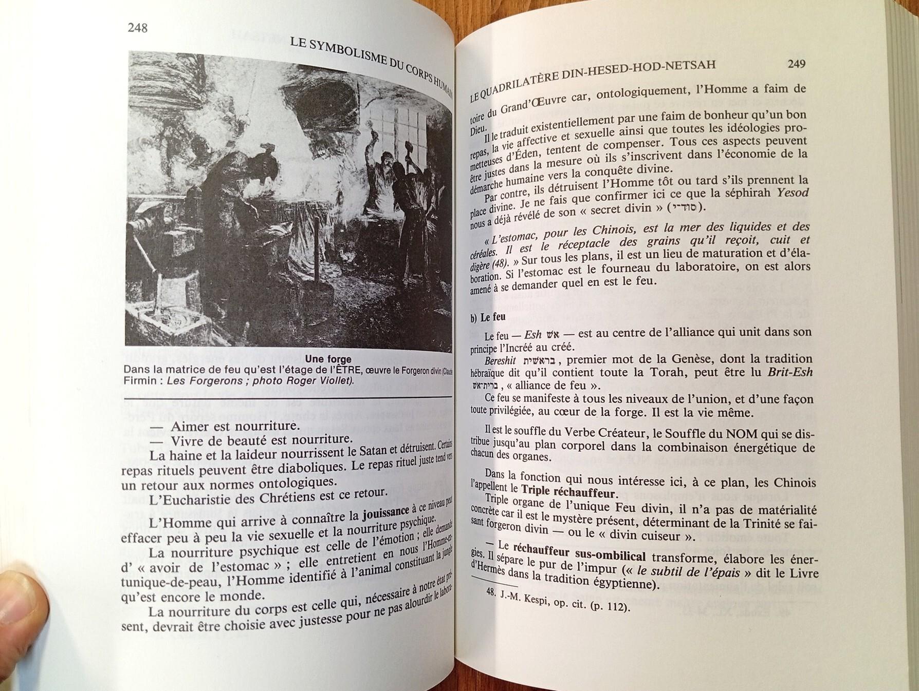 Le symbolisme du corps humain. De l'arbre de vie au schéma corporel