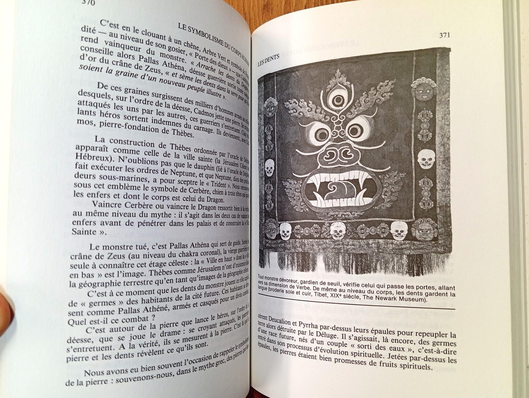Le symbolisme du corps humain. De l'arbre de vie au schéma corporel