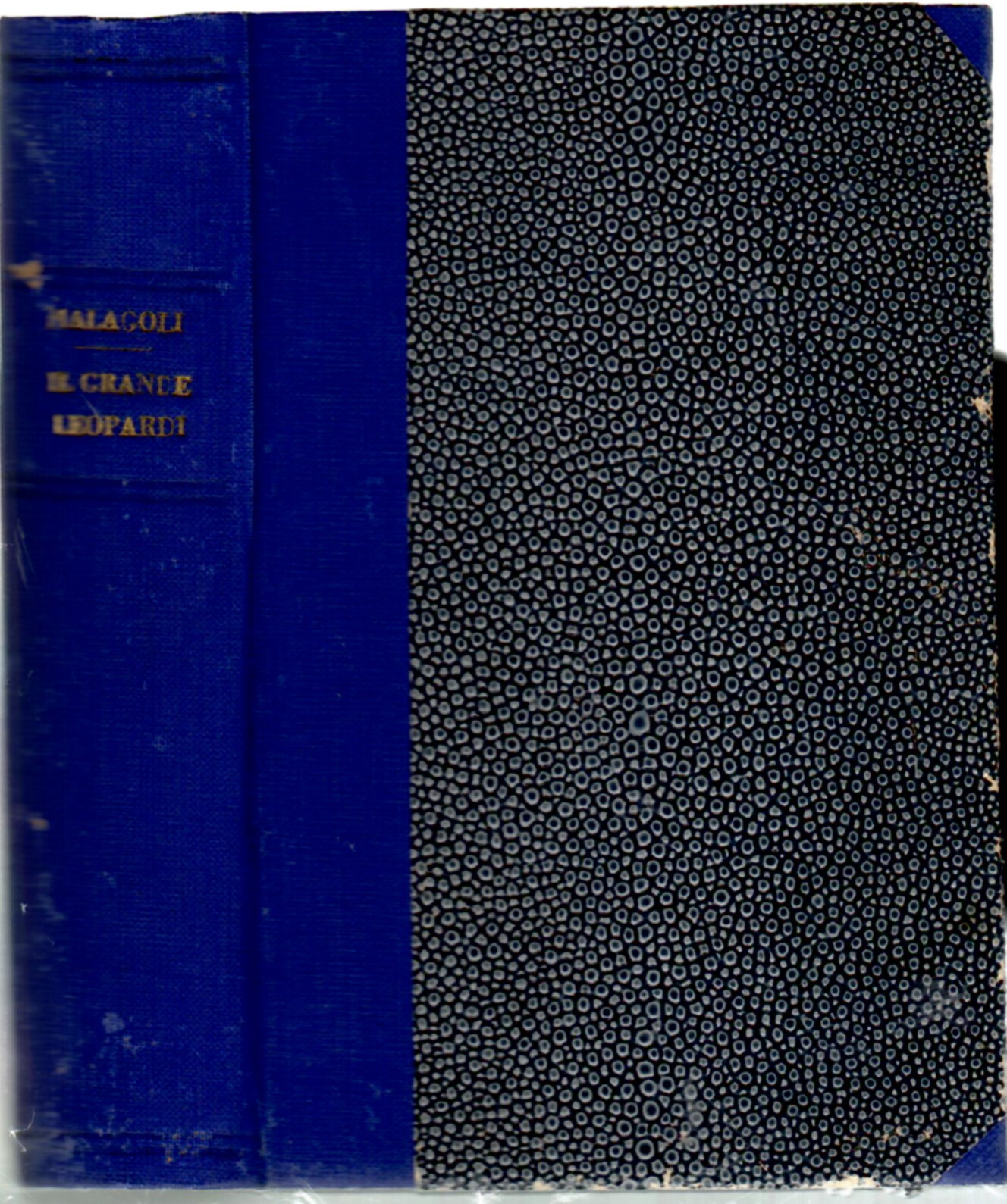 ilsalvalibro