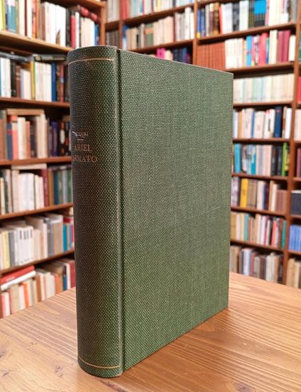 Ariel armato (Gabriele d'Annunzio) - Angelo Sodini - copertina