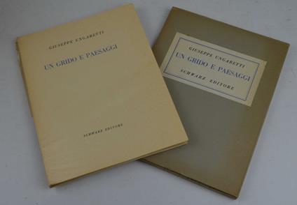 Un grido e paesaggi - copertina