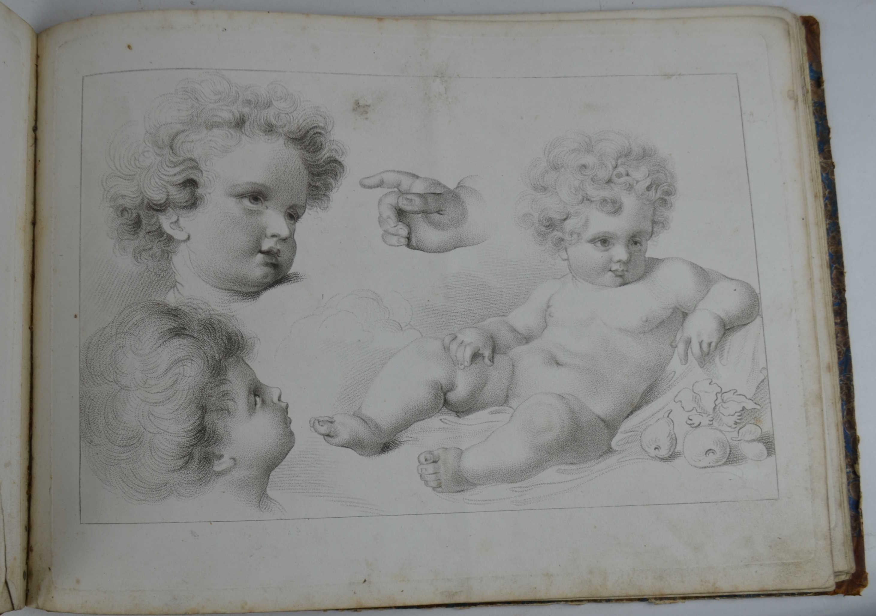 Elemens of drawing. Etude de dessin