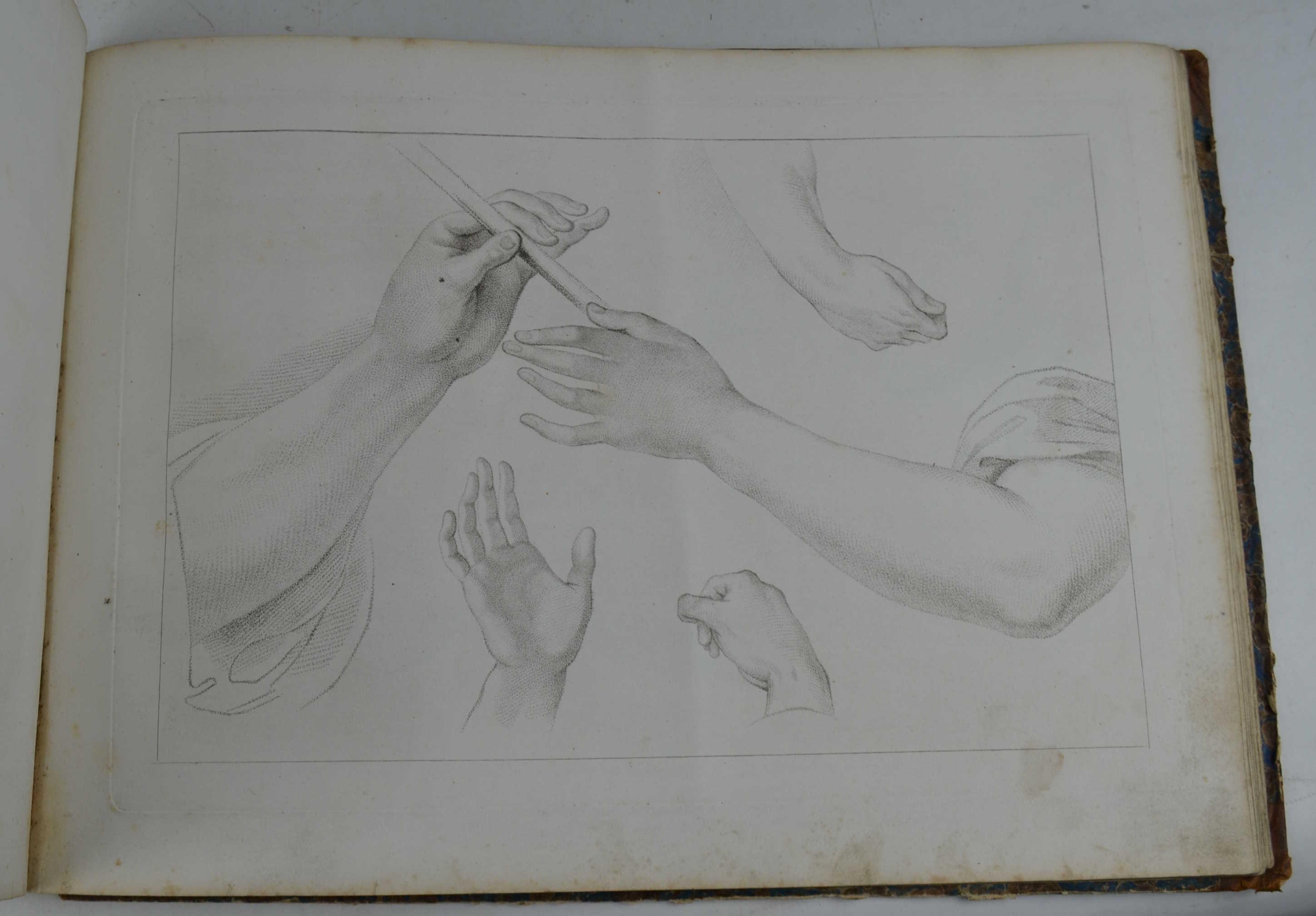 Elemens of drawing. Etude de dessin
