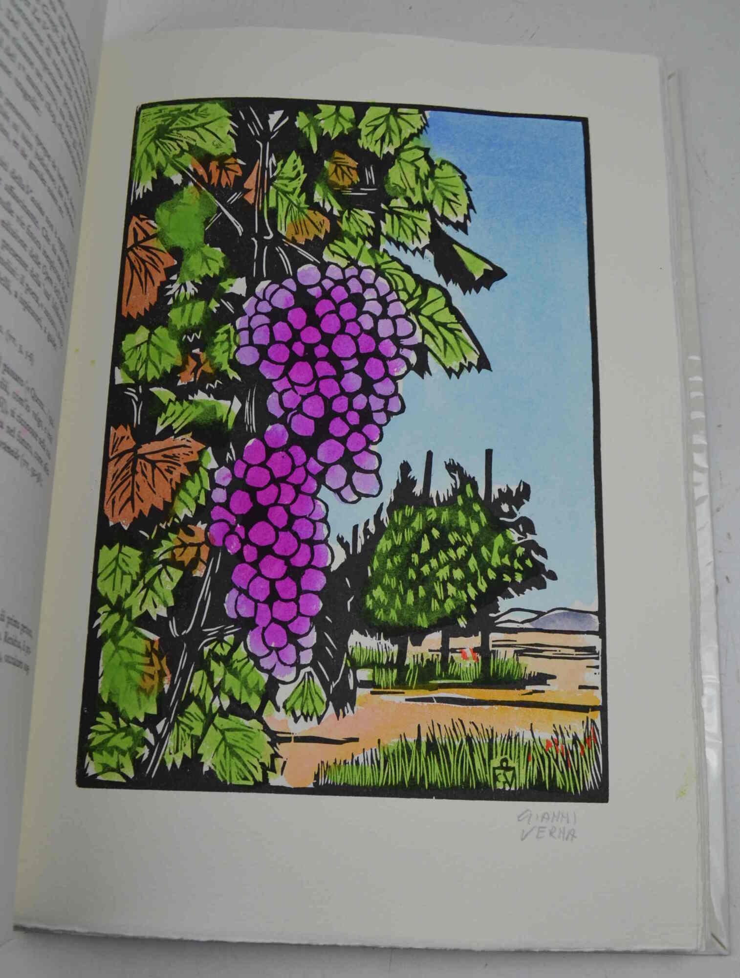 Studio bibliografico Benacense