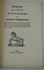 Storia della malattia d'un cavallo