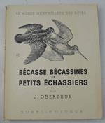 Bécasse, Bécassines et petits échassiers..