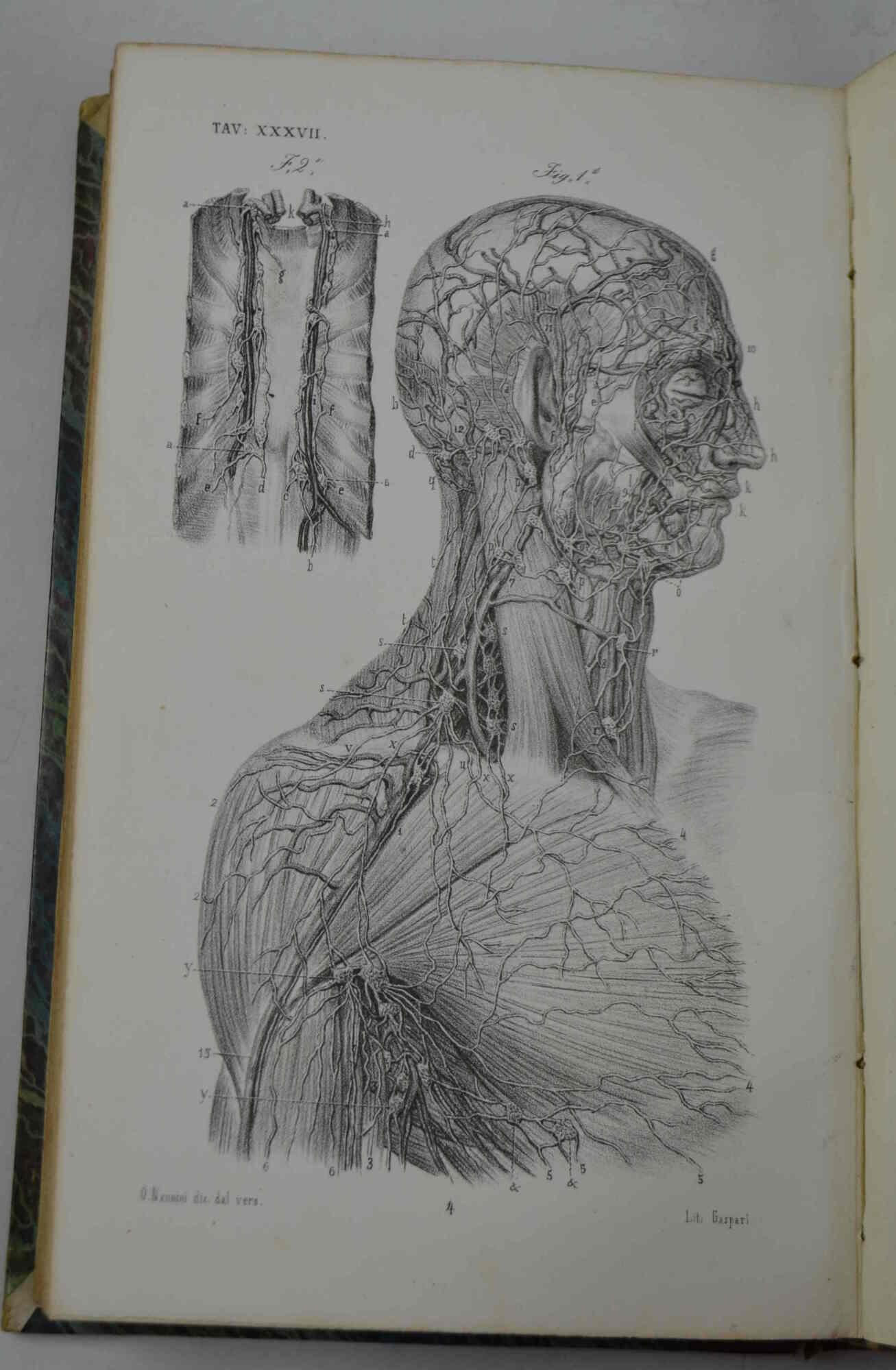 Studio bibliografico Benacense