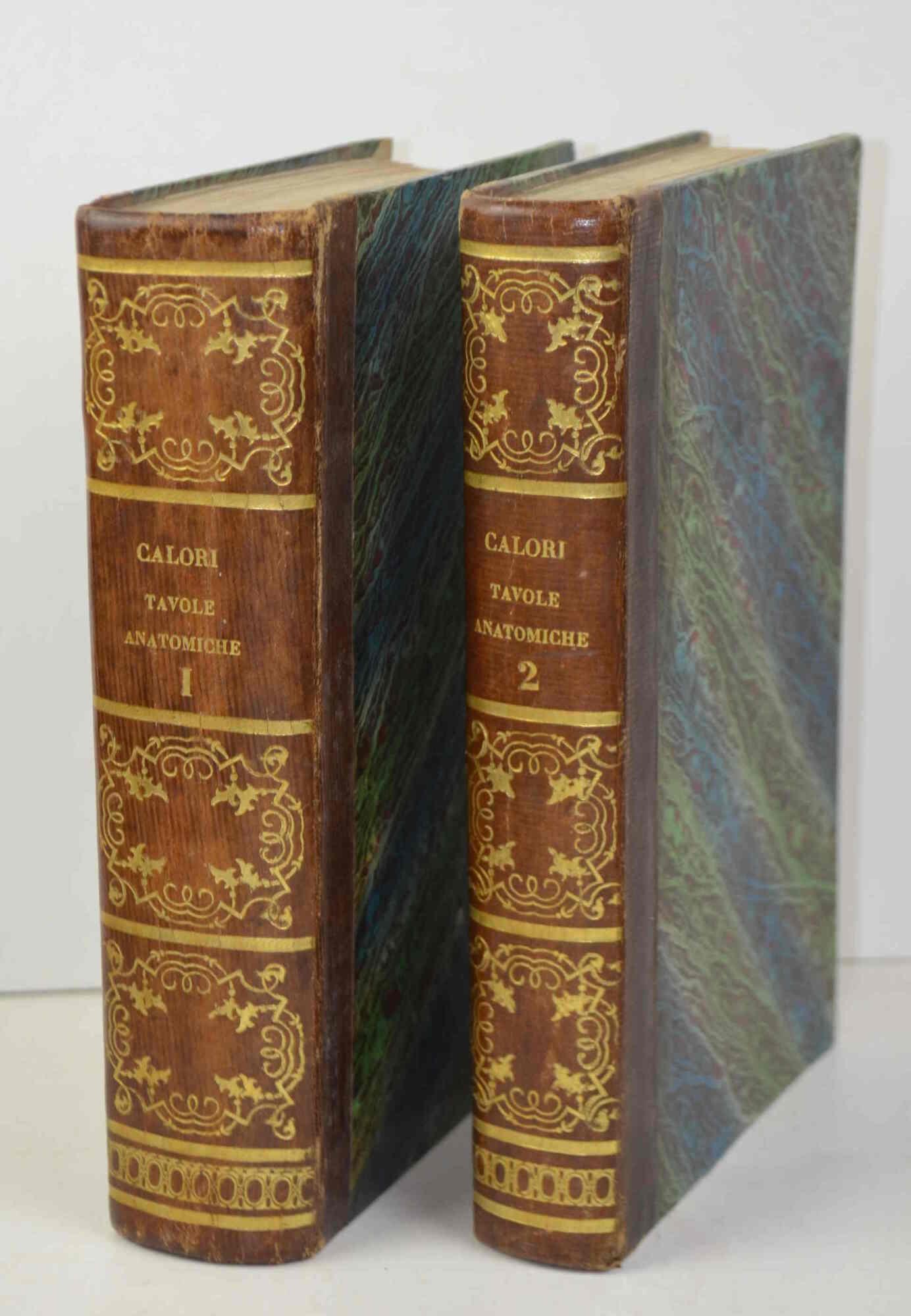 Tavole anatomiche rappresentanti la struttura del corpo umano e loro spiegazione a fronte... Queste tavole servono di complemento a qualunque trattato di anatomia