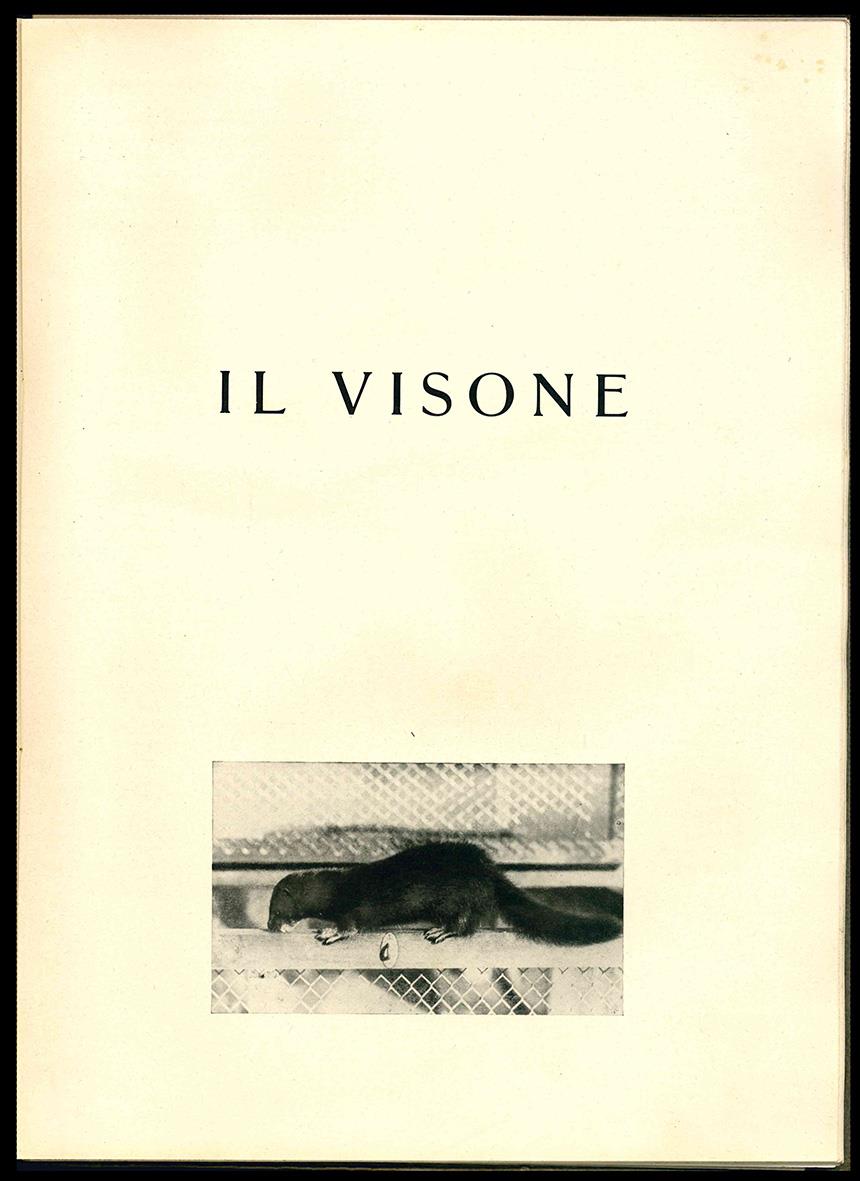 Libreria Alberto Govi