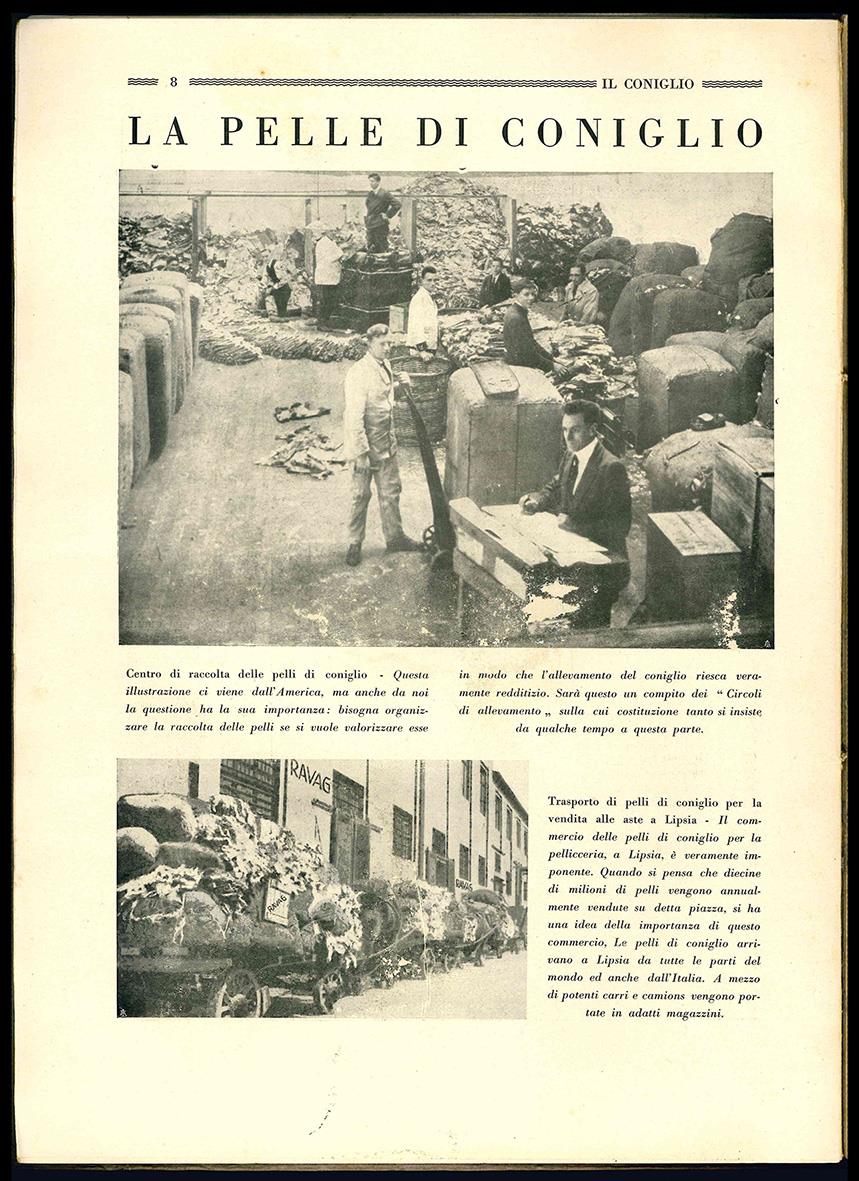 Animali da Pelliccia e loro allevamento