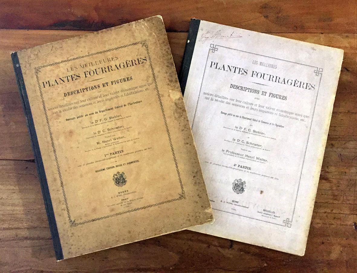 Libreria Alberto Govi