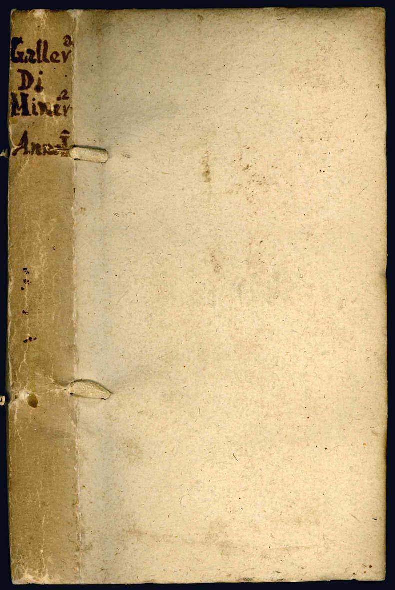 Galleria di Minerva riaperta a benefizio della Repubblica delle Lettere dal zelo di Almorò Albrizzi librajo e stampatore di Venezia, Lipsia, e Charlesbourg, e compastore della sceltissima Accademia dell'Onore letterario di Forlì. Nella quale si conti