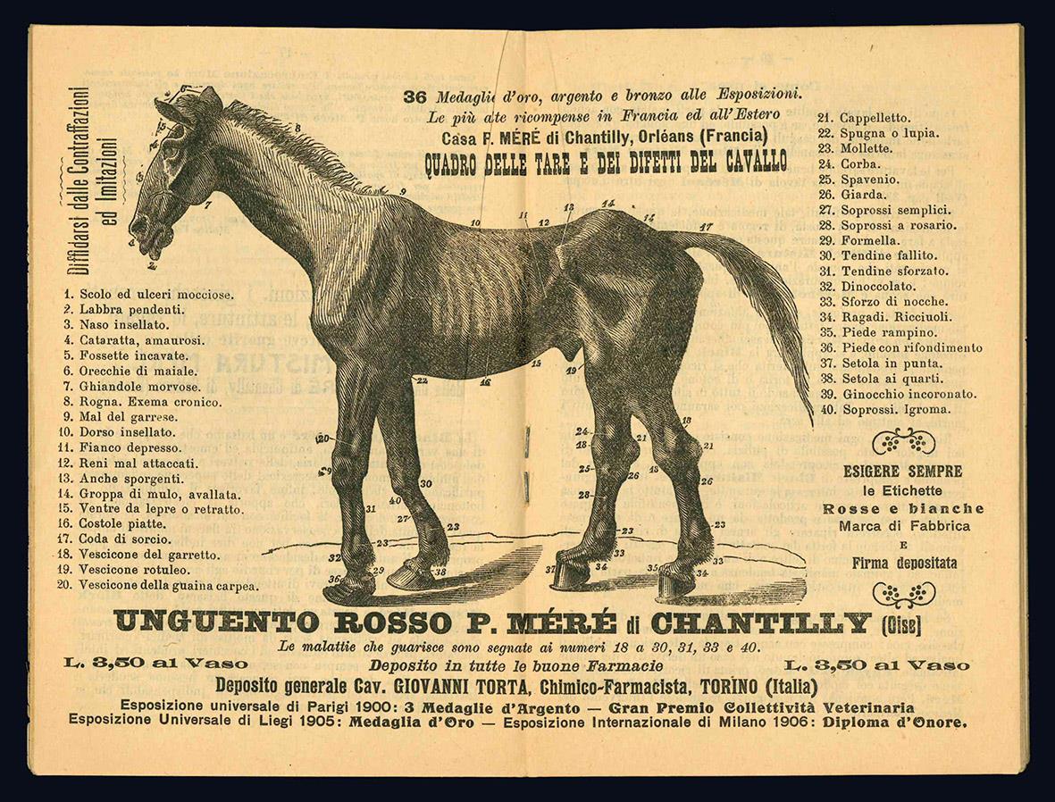 Prodotti veterinari di P. Mère de Chantilly. Catalogo
