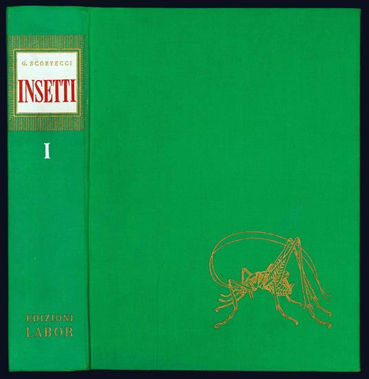 Insetti. Come sono. Dove vivono. Come vivono - Giuseppe Scortecci - copertina