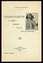 Viaggio in Egitto. La chimica organica e una facoltà scientifica