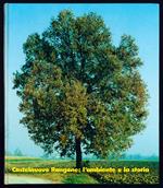 Castelnuovo Rangone: l'ambiente e la storia
