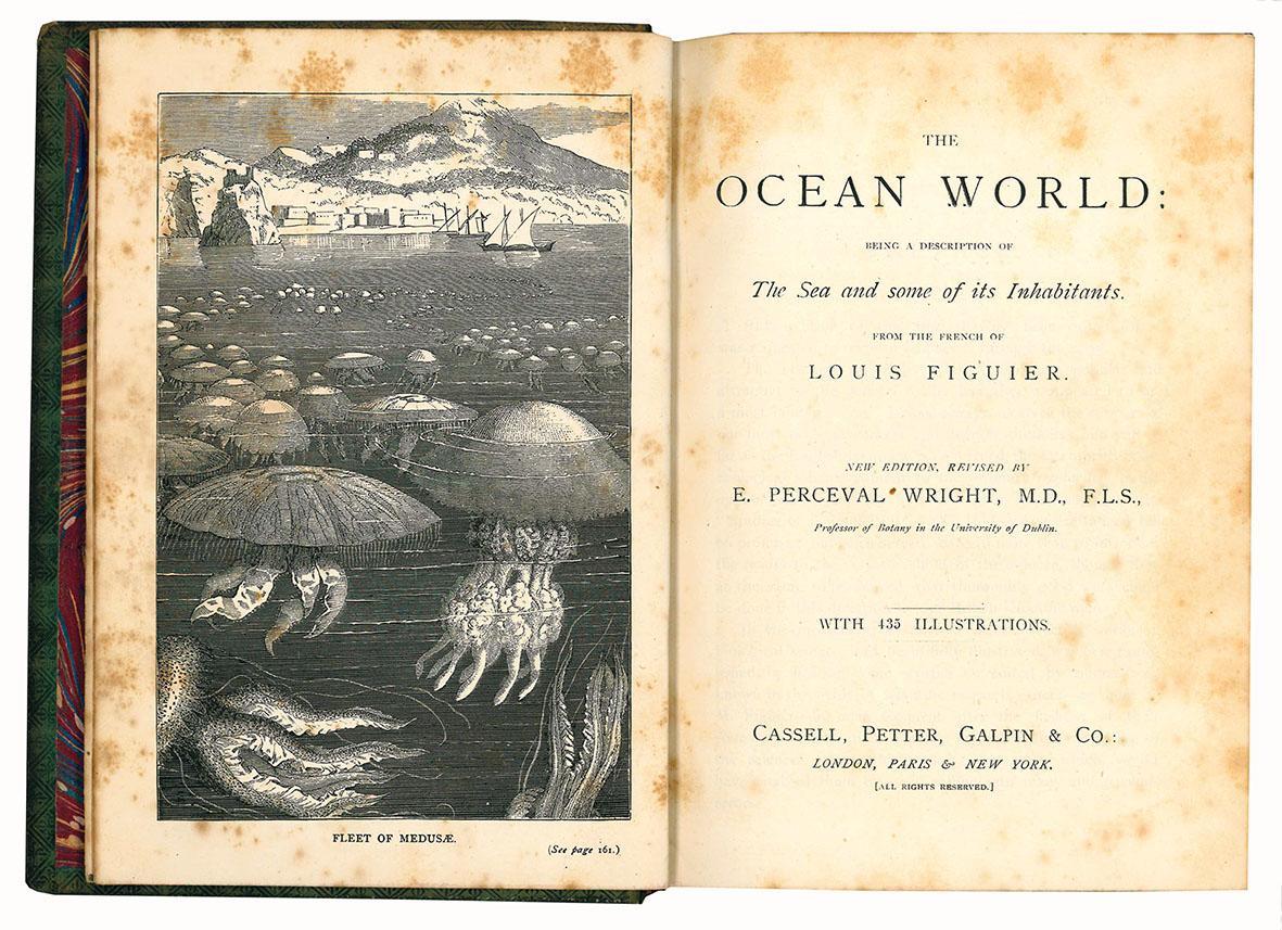 The ocean world: being a description of The sea and some of its Inhabitants