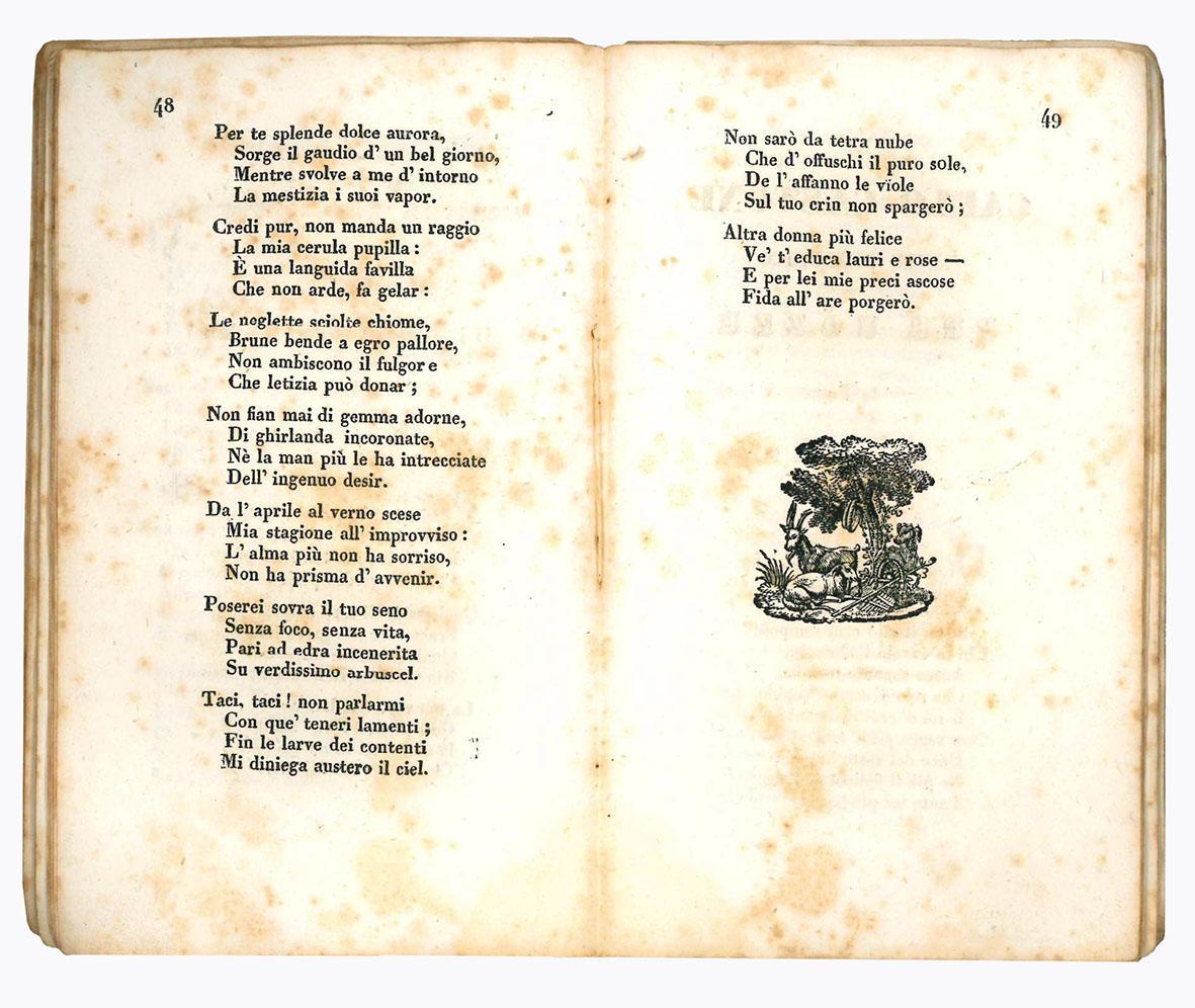 Almanacco per l'anno 1839. Anno quinto