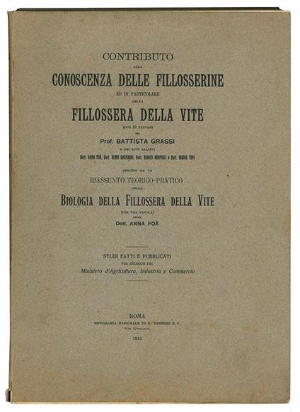 Contributo alla conoscenza delle fillosserine ed in particolare della fillossera della vite (con 19 tavole) del prof. Battista Grassi e dei suoi allievi ... seguito da un riassunto teorico-pratico della biologia della fillossera della vite (con una t - Battista Grassi - copertina