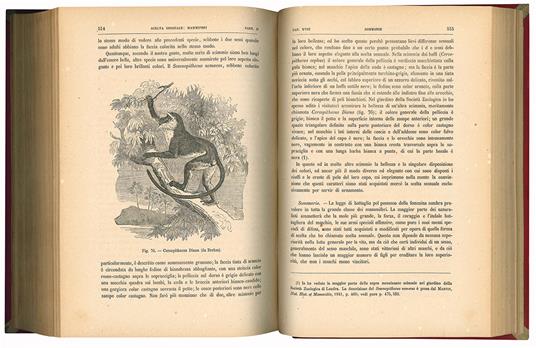 L' origine dell'uomo e la scelta in rapporto col sesso di Carlo Darwin. Prima traduzione italiana col consenso dell'autore del professore Michele Lessona - Charles Darwin - copertina
