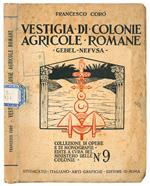 Vestigia di colonie agricole romane. Gebel Nefusa