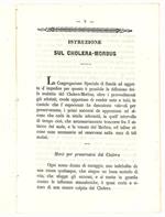 Istruzione sul cholera-morbus