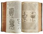 Histoire generale des plantes contenant XVIII. livres egalement departis en deux tomes: Sortie Latine de la Bibliotheque de M. Iaques Dalechamps, puis faite Franc?oise par M. Jean des Moulins [...] Tome premier [-second]