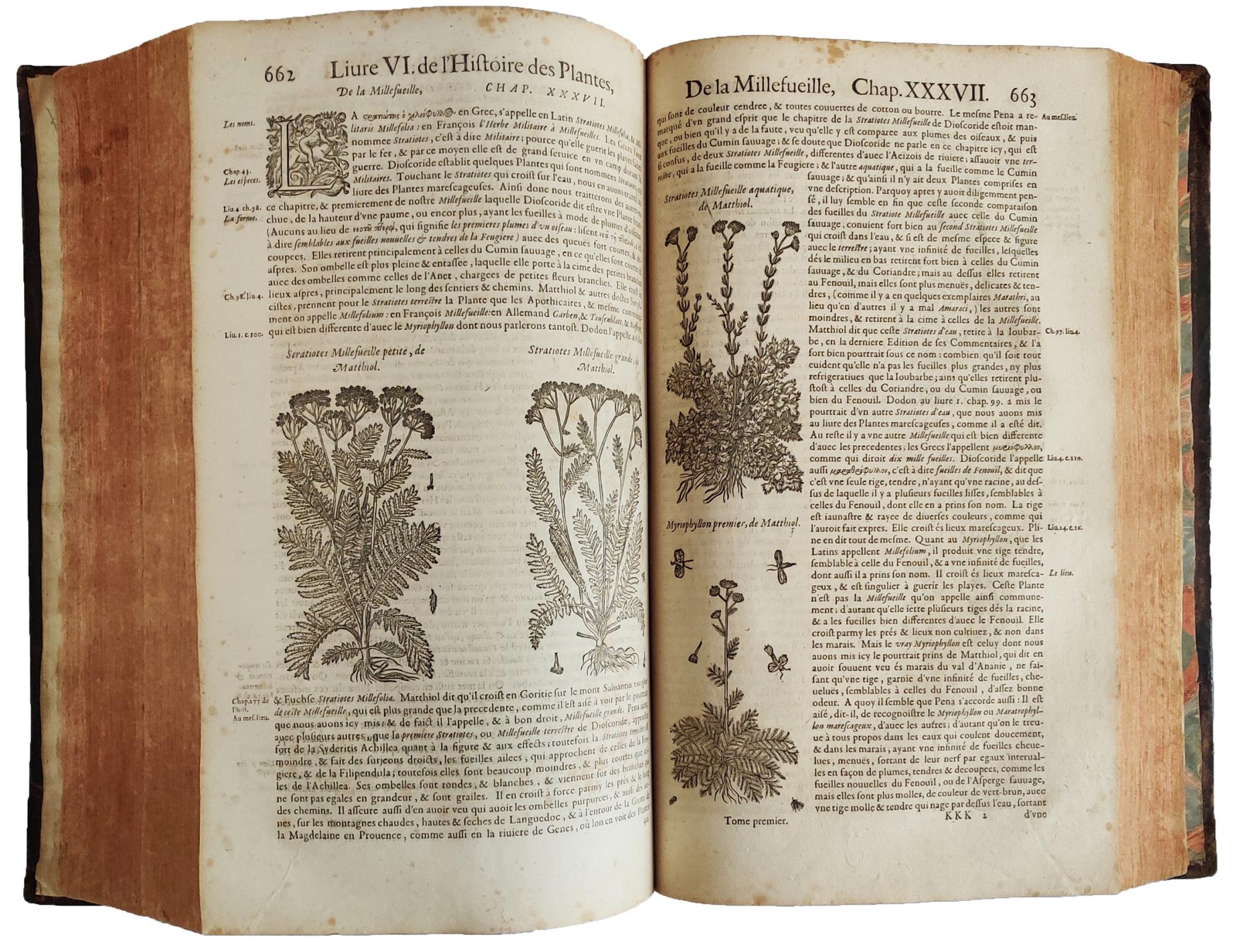 Histoire generale des plantes contenant XVIII. livres egalement departis en deux tomes: Sortie Latine de la Bibliotheque de M. Iaques Dalechamps, puis faite Franc?oise par M. Jean des Moulins [...] Tome premier [-second]