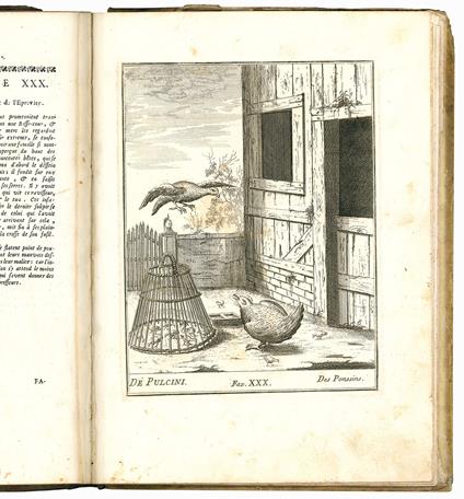 Recueil de diverses fables designées, & gravées par George Fossati architecte, &c. Tome sixième - Giorgio Fossati - copertina