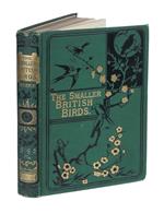 The Smaller British Birds