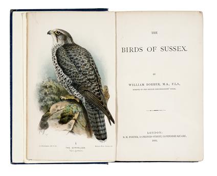 The Birds of Sussex. [Illustrated by J.G. Keulemans] - Borrer William - copertina