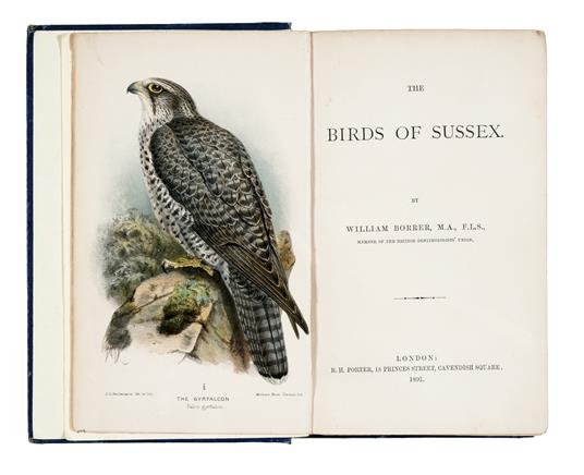 The Birds of Sussex. [Illustrated by J.G. Keulemans] - Borrer William - copertina