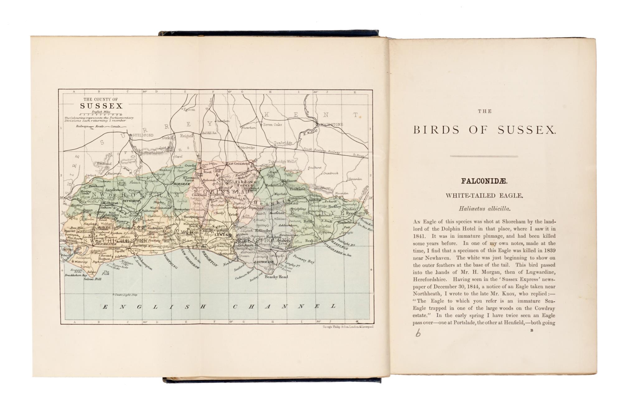 The Birds of Sussex. [Illustrated by J.G. Keulemans]