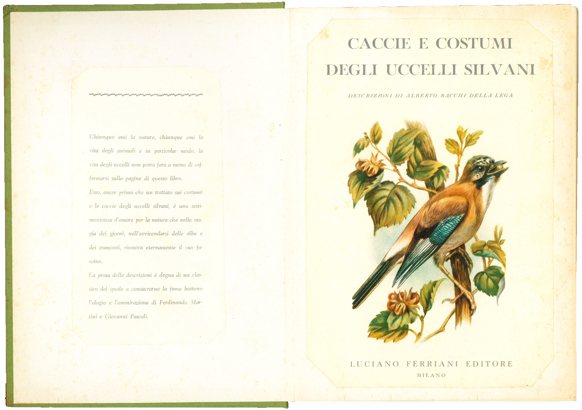 Libreria Alberto Govi